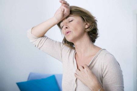 MENOPAUSIA