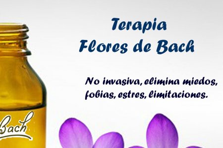 UTILIZAR FLORES DE BACH PARA CALMAR