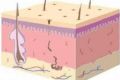 DERMATOLOGIA CLINICA