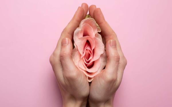 Plastias Vaginales
