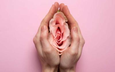 Plastias Vaginales