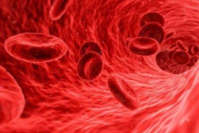 HEMATOLOGIA